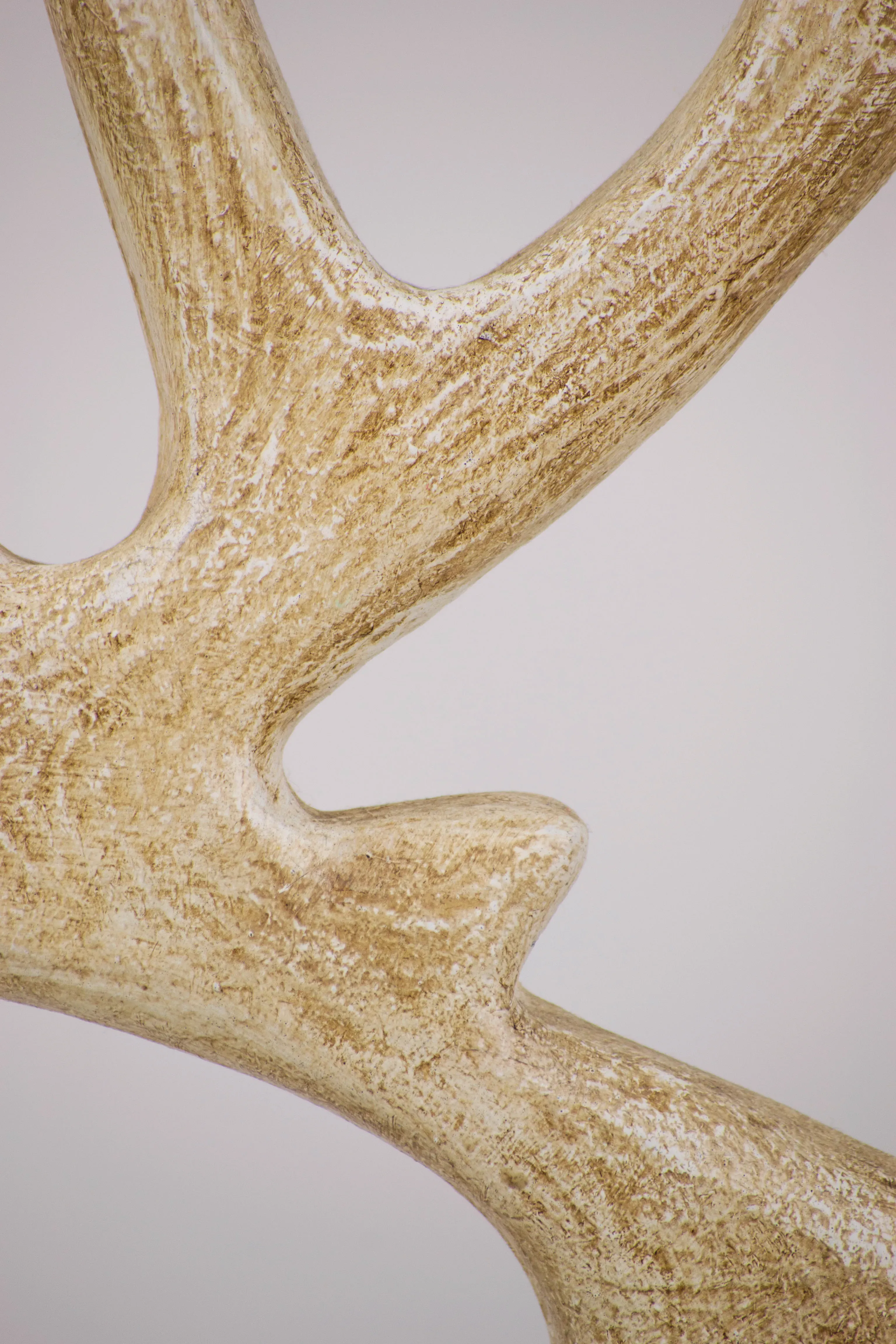 Venado - imagen 2