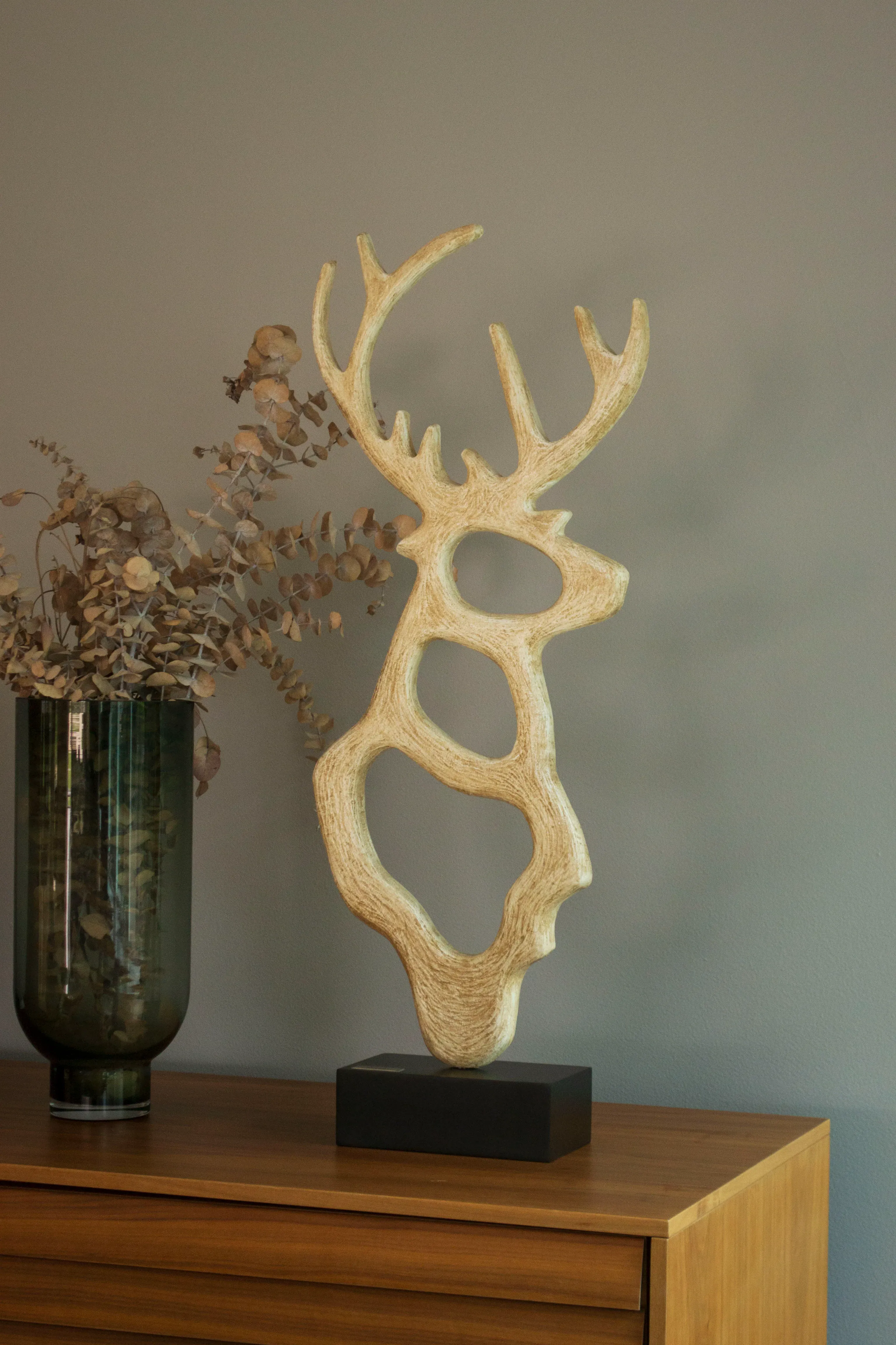 Venado - imagen 3