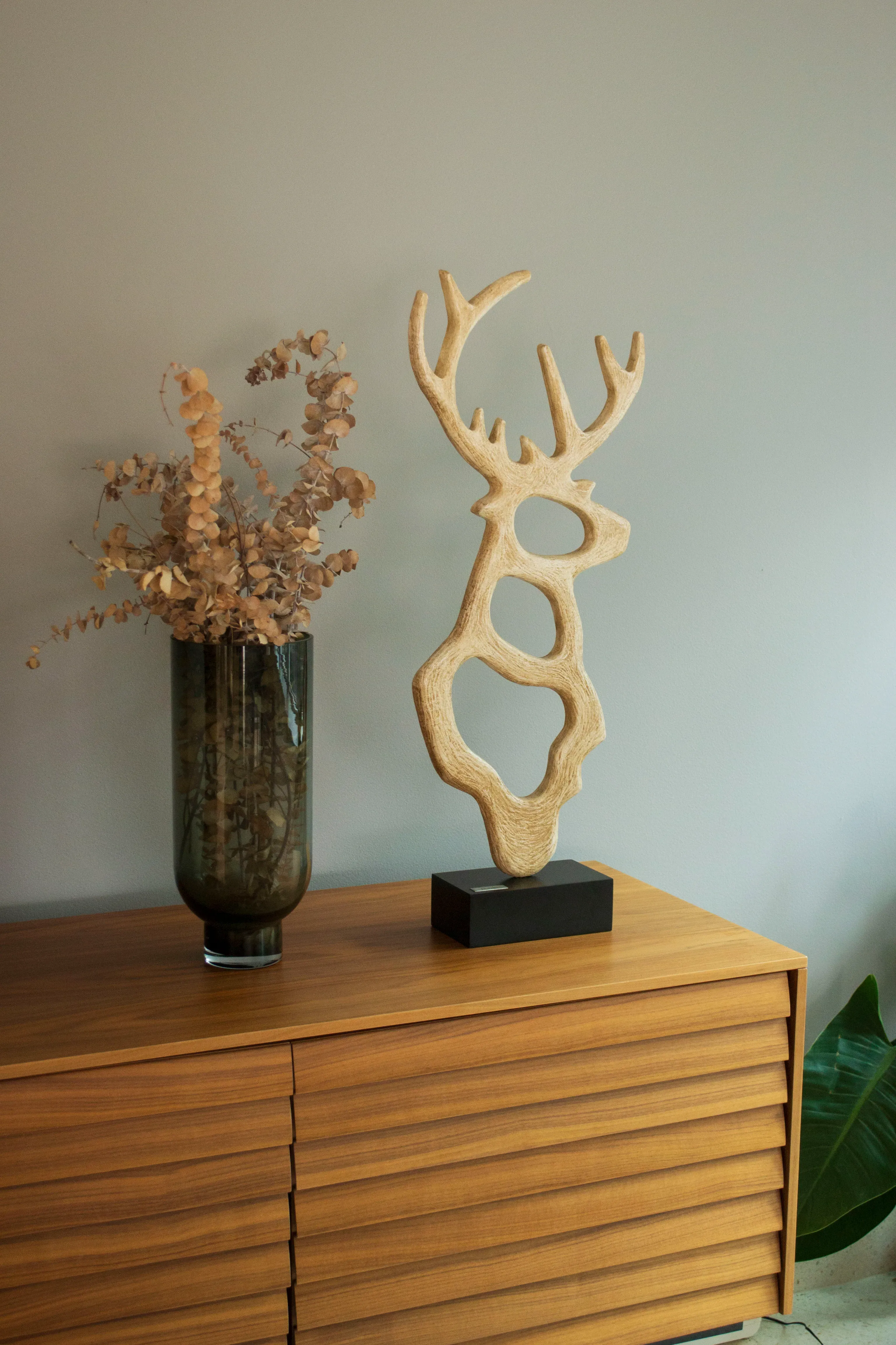 Venado - imagen 4